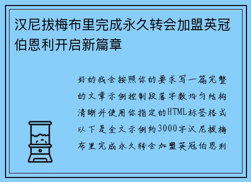 汉尼拔梅布里完成永久转会加盟英冠伯恩利开启新篇章